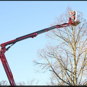 Nacelle araignée 20m