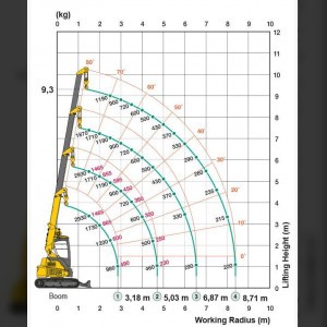 Grue automotrice 9.3m