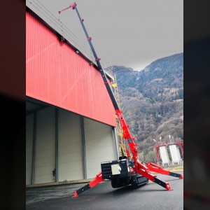 Grue araignée 14m